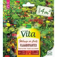 Vita Vilmorin melange flamboyant 4m2