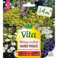 Vita Vilmorin melange fleurs naine vivace 4m2