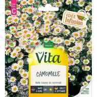 Vita vilmorin camomille