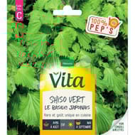 Vita vilmorin perille shiso vert
