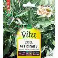Vita vilmorin sauge officinale