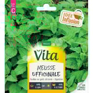 Vita vilmorin melisse oficinale