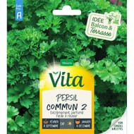 Vita vilmorin persil commun 2