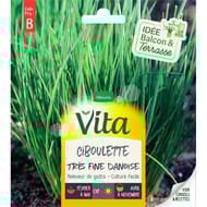 Vita Vilmorin ciboulette