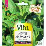 Vita vilmorin menthe marocaine