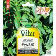 Vita vilmorin menthe poivree