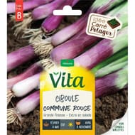 Vita Vilmorin ciboule rouge