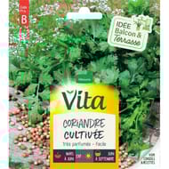 Vita Vilmorin coriandre cultivee