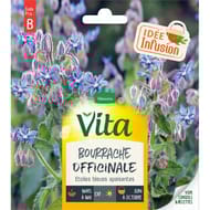 Vita Vilmorin bourrache