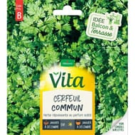 Vita Vilmorin cerfeuil commun