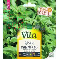 Vita Vilmorin basilic cannelle