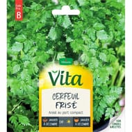 Vita Vilmorin cerfeuil frise ou double