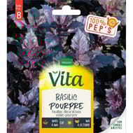 Vita Vilmorin basilic pourpre