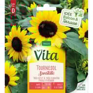 Vita Vilmorin tournesol sunstatic