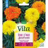 Vita Vilmorin rose inde sunset mix