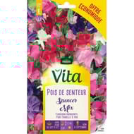 Vita Vilmorin pois senteur spencer mix eco