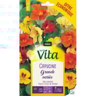 Vita Vilmorin capucine grande mix eco