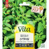 Vita Vilmorin basilic citron