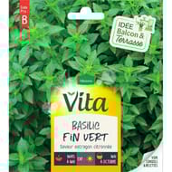 Vita Vilmorin basilic fin vert
