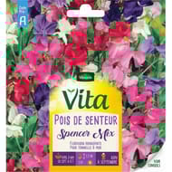 Vita Vilmorin pois senteur spencer mix