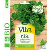 Vita vilmorin persil frise vert frise bio