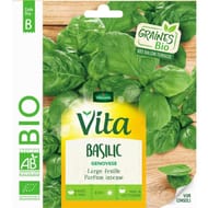 Vita vilmorin basilic genovese bio