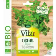 Vita vilmorin cerfeuil commun bio