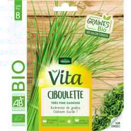 Vita vilmorin ciboulette danoise bio