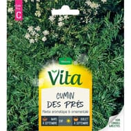 Vita vilmorin cumin des pres