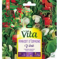 Vita Vilmorin fleur haricot espagne mix