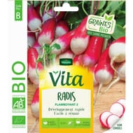 Vita vilmorin radis flamboyant 2 bio