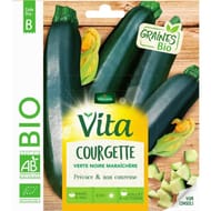 Vita vilmorin courgette maraichere bio