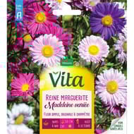 Vita Vilmorin reine marguerite simple mix
