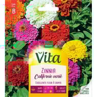 Vita Vilmorin zinnia californie mix