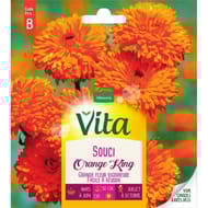 Vita Vilmorin souci orange king