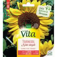 Vita Vilmorin tournesol nain simple