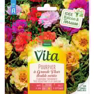 Vita Vilmorin pourpier double mix