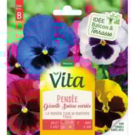 Vita Vilmorin pensee geante suisse mix