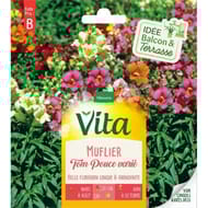 Vita Vilmorin muflier tom pouce mix