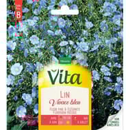 Vita Vilmorin lin vivace bleu