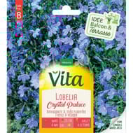 Vita Vilmorin lobelia crystal palace