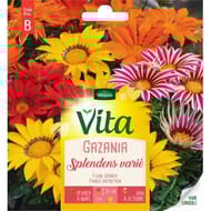 Vita Vilmorin gazania splendens varie