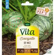 Vita Vilmorin courgette nice