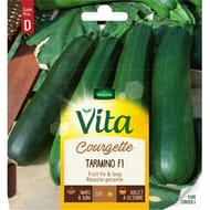 Vita Vilmorin courgette tarmino hf1