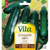 Vita Vilmorin courgette cora hf1