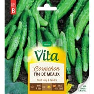 Vita Vilmorin cornichon fin de meaux