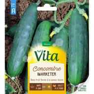 Vita Vilmorin concombre marketer