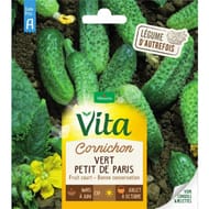 Vita Vilmorin cornichon vert paris