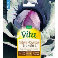 Vita Vilmorin chou rouge tete noire 3