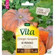 Vita Vilmorin courge musquée de provence
